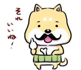 shibainu and mikeneko sticker #4775426