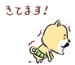 shibainu and mikeneko sticker #4775447
