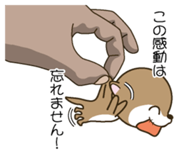 Butler of a small otter sticker #4776175