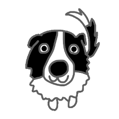 Border collie and her mates