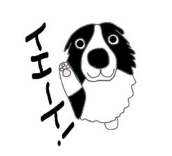 Border collie and her mates sticker #4778664