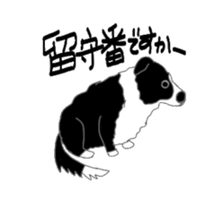 Border collie and her mates sticker #4778672