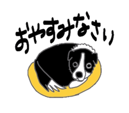 Border collie and her mates sticker #4778681