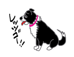 Border collie and her mates sticker #4778684