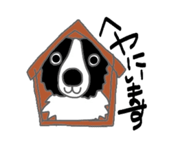 Border collie and her mates sticker #4778702