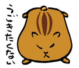 Every day of HAMUTA sticker #4779559