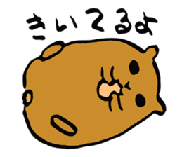 Every day of HAMUTA sticker #4779562