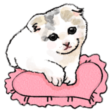 colorfulcats sticker #4780264