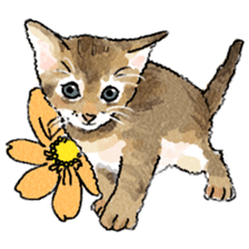 colorfulcats sticker #4780265