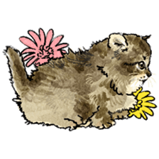 colorfulcats sticker #4780266
