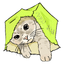 colorfulcats sticker #4780268