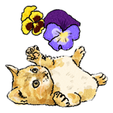 colorfulcats sticker #4780270