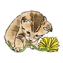 colorfulcats sticker #4780272