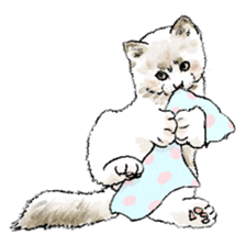 colorfulcats sticker #4780274
