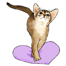 colorfulcats sticker #4780275