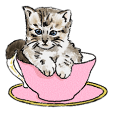 colorfulcats sticker #4780276