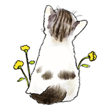 colorfulcats sticker #4780278