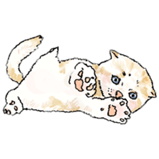 colorfulcats sticker #4780279
