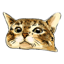 colorfulcats sticker #4780281