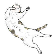 colorfulcats sticker #4780284