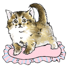 colorfulcats sticker #4780285