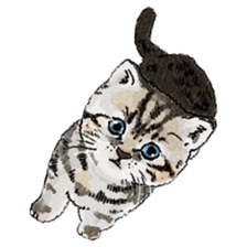 colorfulcats sticker #4780286