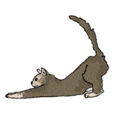 colorfulcats sticker #4780287