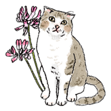 colorfulcats sticker #4780288