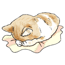 colorfulcats sticker #4780289