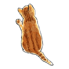 colorfulcats sticker #4780290