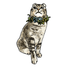 colorfulcats sticker #4780291