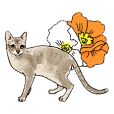 colorfulcats sticker #4780292