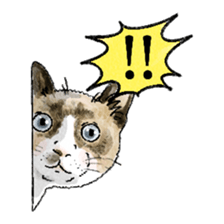 colorfulcats sticker #4780294