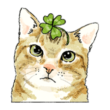 colorfulcats sticker #4780295
