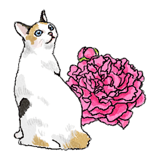colorfulcats sticker #4780296
