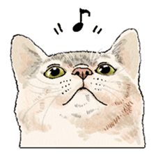 colorfulcats sticker #4780300