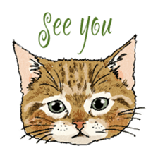 colorfulcats sticker #4780303