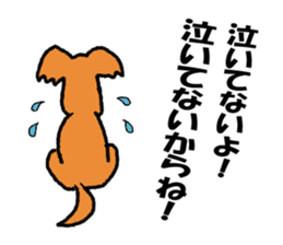 wonderful  won! sticker #4781762