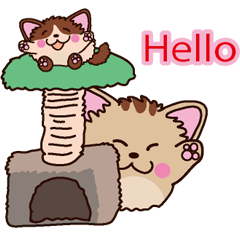 Round cat Fan&Moo English version