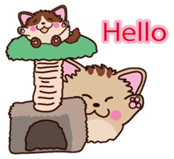 Round cat Fan&Moo English version sticker #4782731