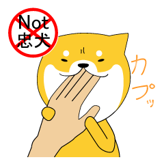 The faithful dog not a Shiba Inu