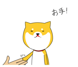 The faithful dog not a Shiba Inu sticker #4783065