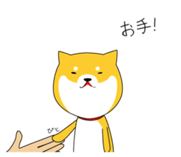 The faithful dog not a Shiba Inu sticker #4783065