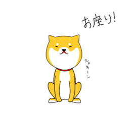 The faithful dog not a Shiba Inu sticker #4783066