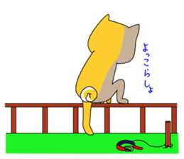 The faithful dog not a Shiba Inu sticker #4783072