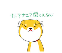 The faithful dog not a Shiba Inu sticker #4783074