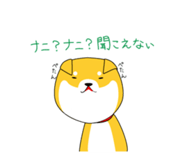 The faithful dog not a Shiba Inu sticker #4783074