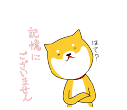 The faithful dog not a Shiba Inu sticker #4783075