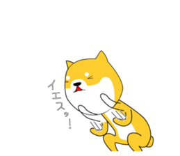 The faithful dog not a Shiba Inu sticker #4783081