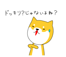 The faithful dog not a Shiba Inu sticker #4783086